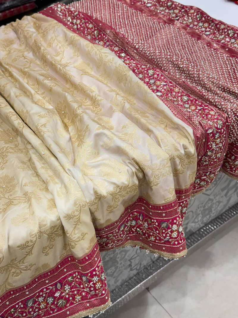 Rani Banarasi Border Hand Embroidery Saree