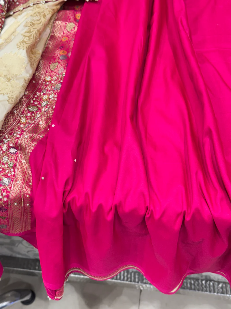 Rani Banarasi Border Hand Embroidery Saree - Image 3